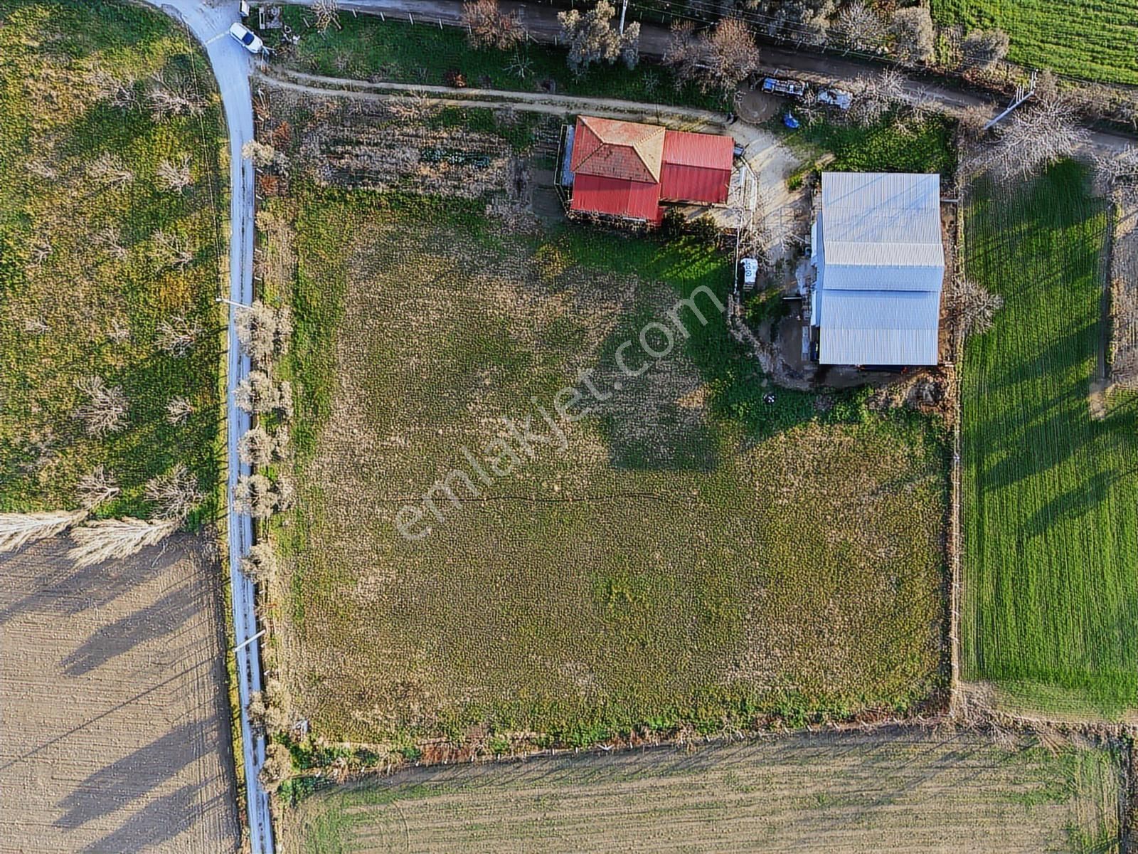 Kaçmazer'den Tire Merkeze Yakın Satılık Çiftlik - Görsel 3