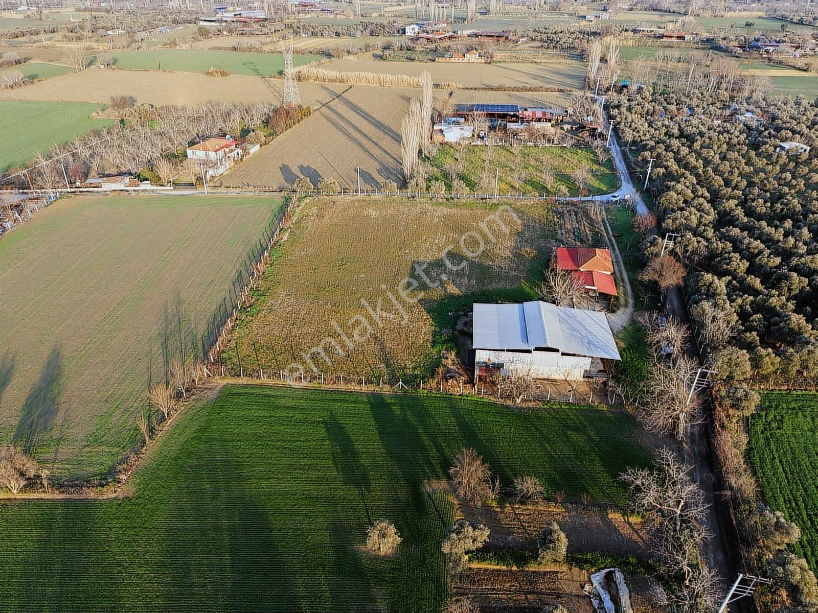 Kaçmazer'den Tire Merkeze Yakın Satılık Çiftlik - Görsel 15