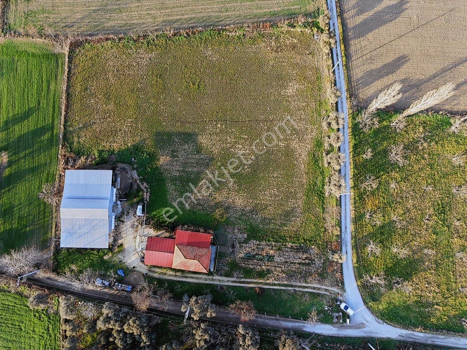 Kaçmazer'den Tire Merkeze Yakın Satılık Çiftlik - Görsel 11