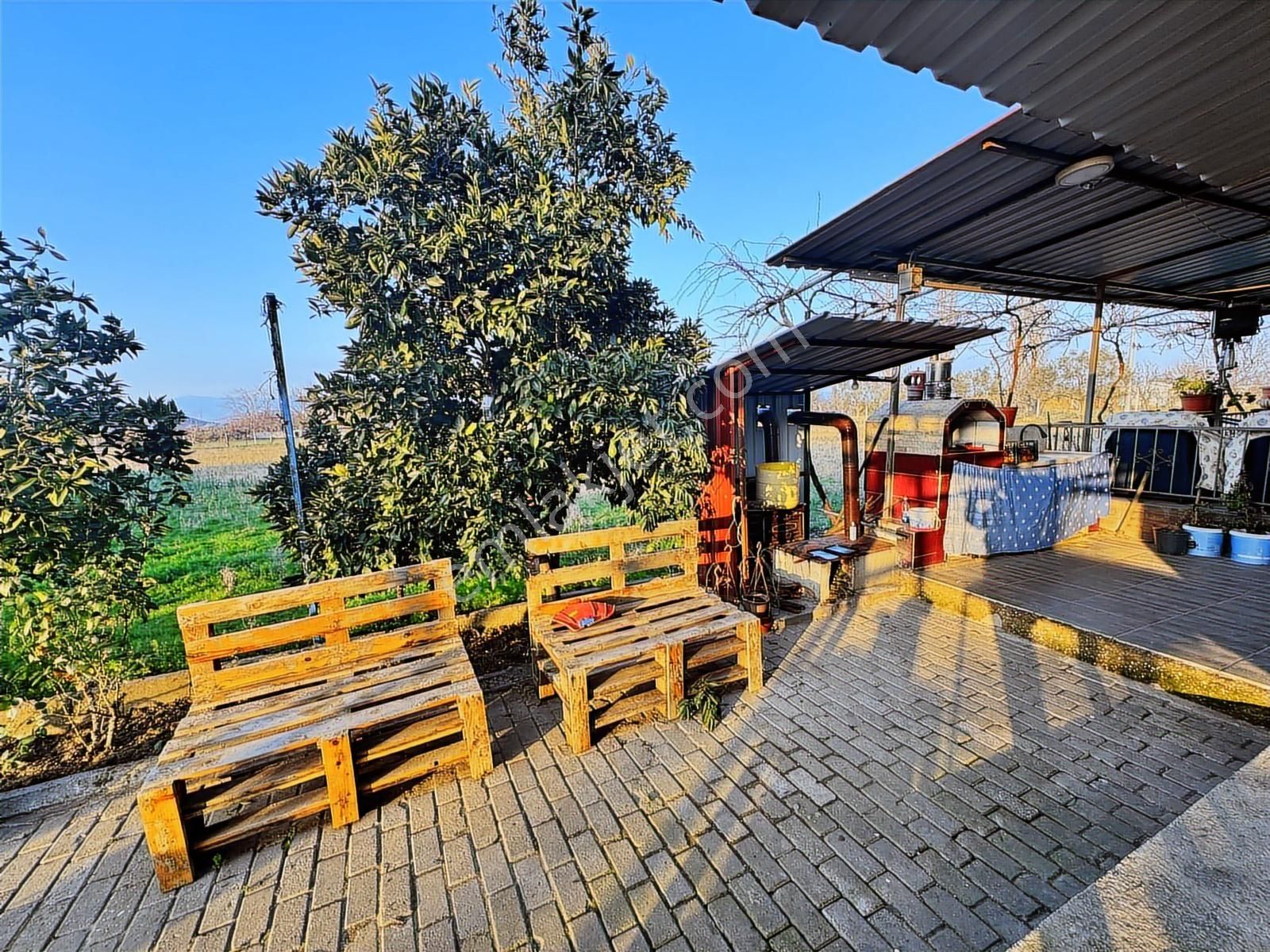 Kaçmazer'den Tire Merkeze Yakın Satılık Çiftlik - Görsel 12