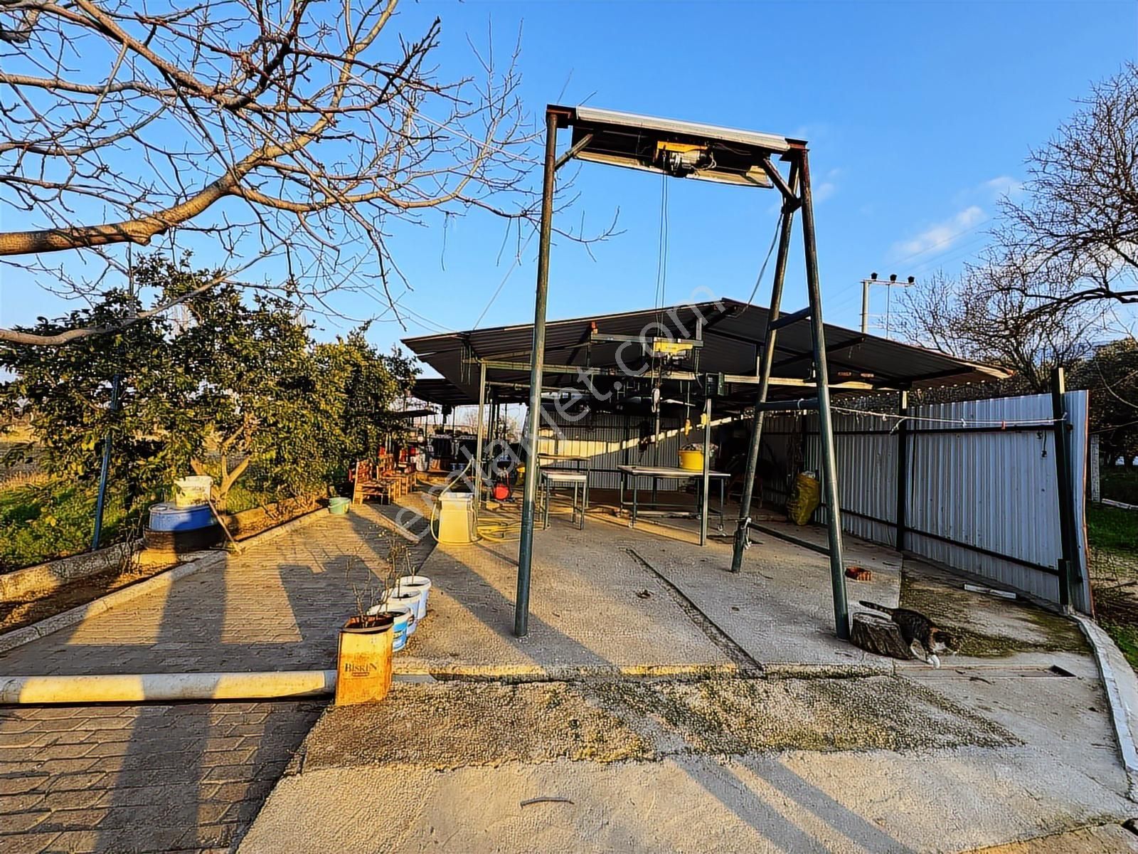 Kaçmazer'den Tire Merkeze Yakın Satılık Çiftlik - Görsel 19