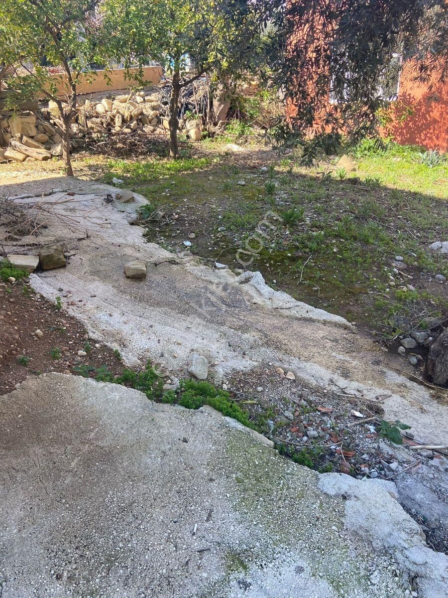 Müstakil Ev - Görsel 4