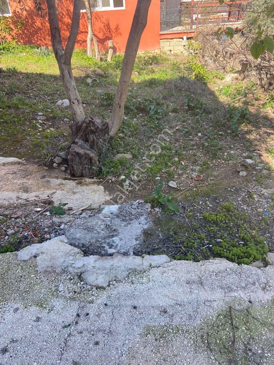 Müstakil Ev - Görsel 20