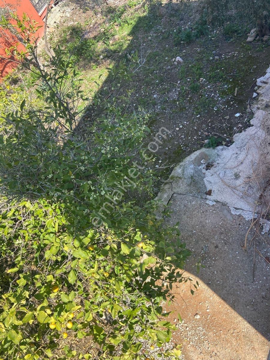 Müstakil Ev - Görsel 21