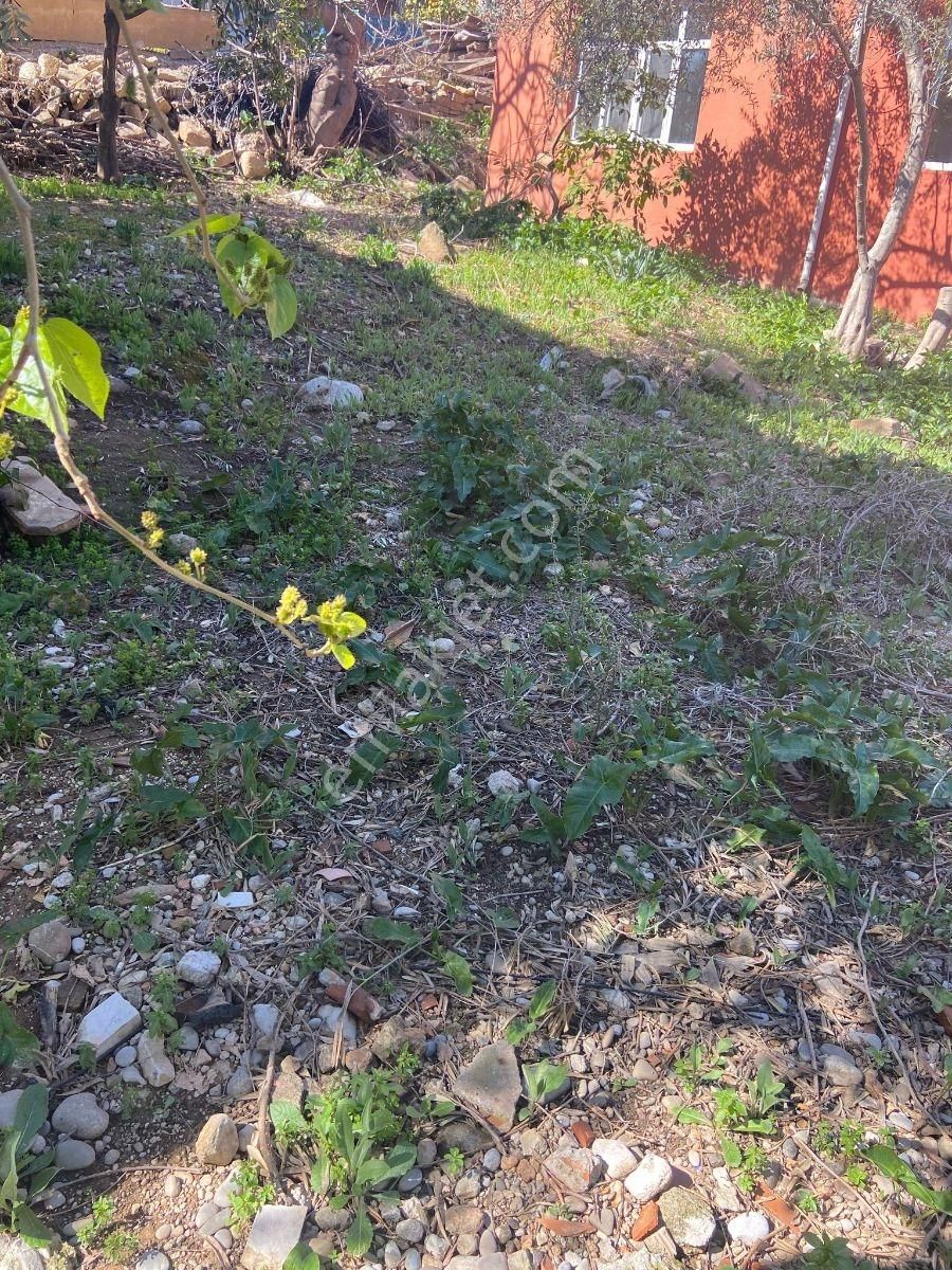 Müstakil Ev - Görsel 9