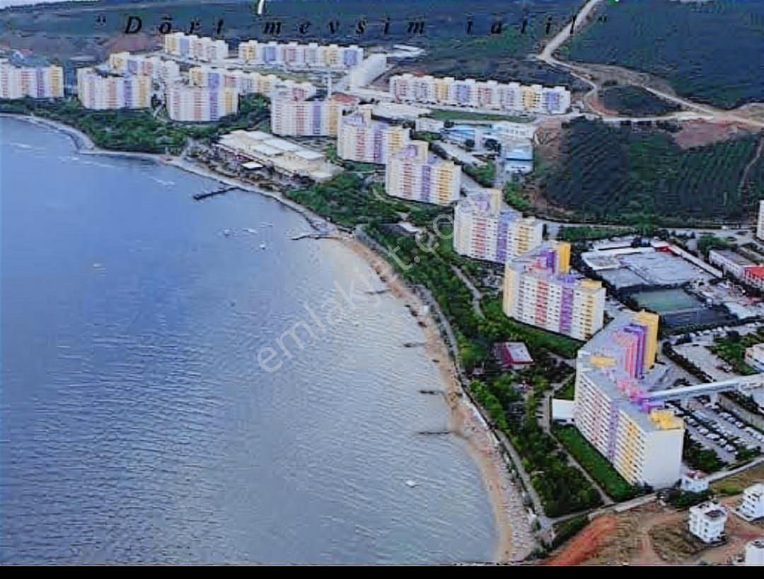 Yalova Armutlu'da Dört Mevsim Tatil, Kazançlı Yatırım - Görsel 4