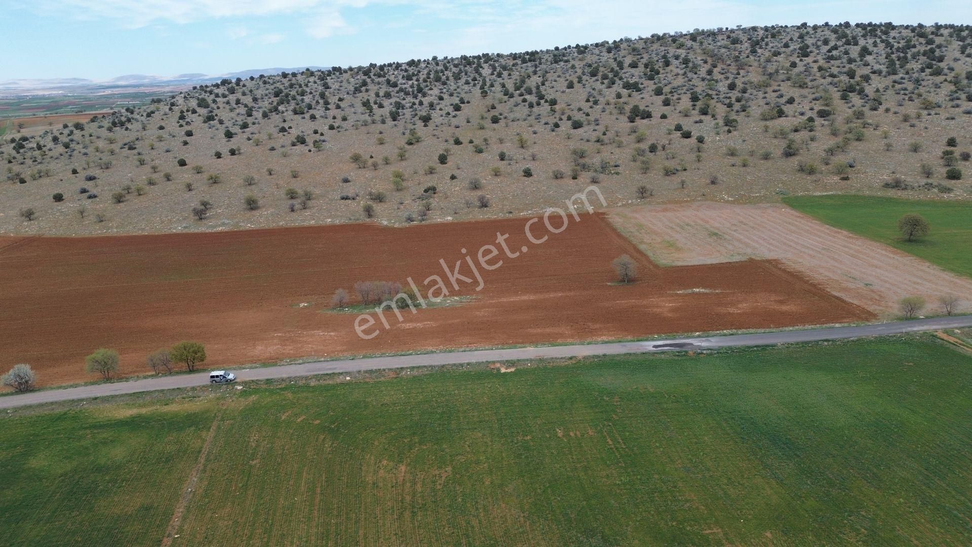 Akören Karahüyük De Asfalt Yola Cephe 6.962 M2 Müstakil Tapulu Tarla - Görsel 4
