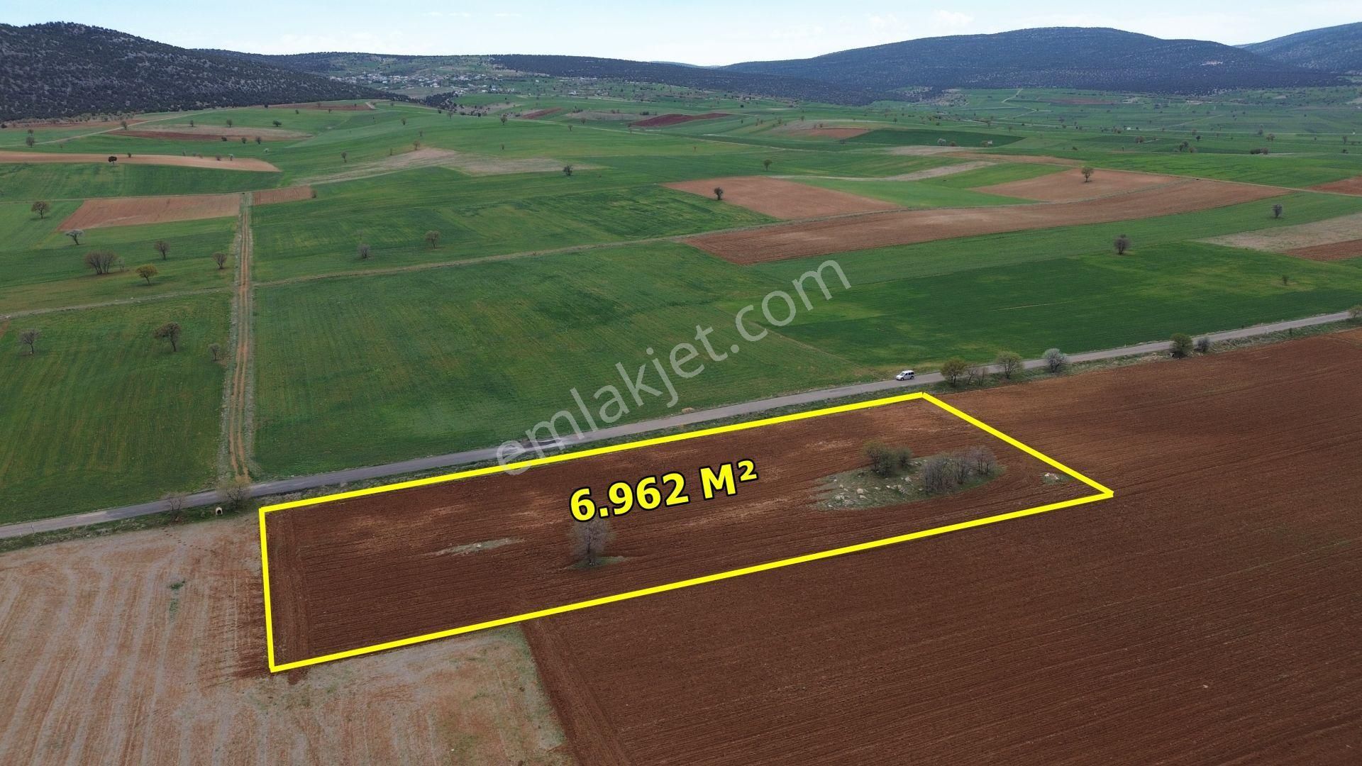Akören Karahüyük De Asfalt Yola Cephe 6.962 M2 Müstakil Tapulu Tarla