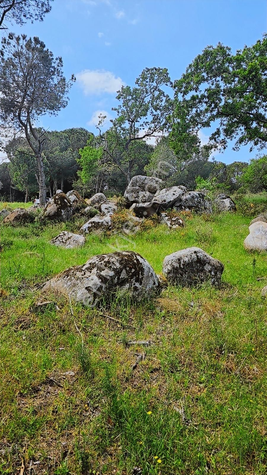 Kozak Yaylası Köy Yakını Satılık (2250 M2 ) - Görsel 5
