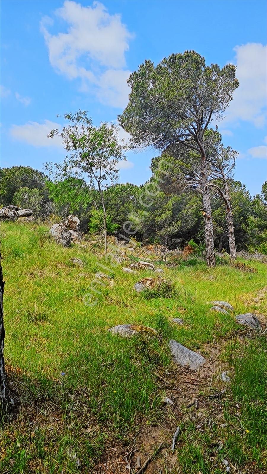 Kozak Yaylası Köy Yakını Satılık (2250 M2 ) - Görsel 7