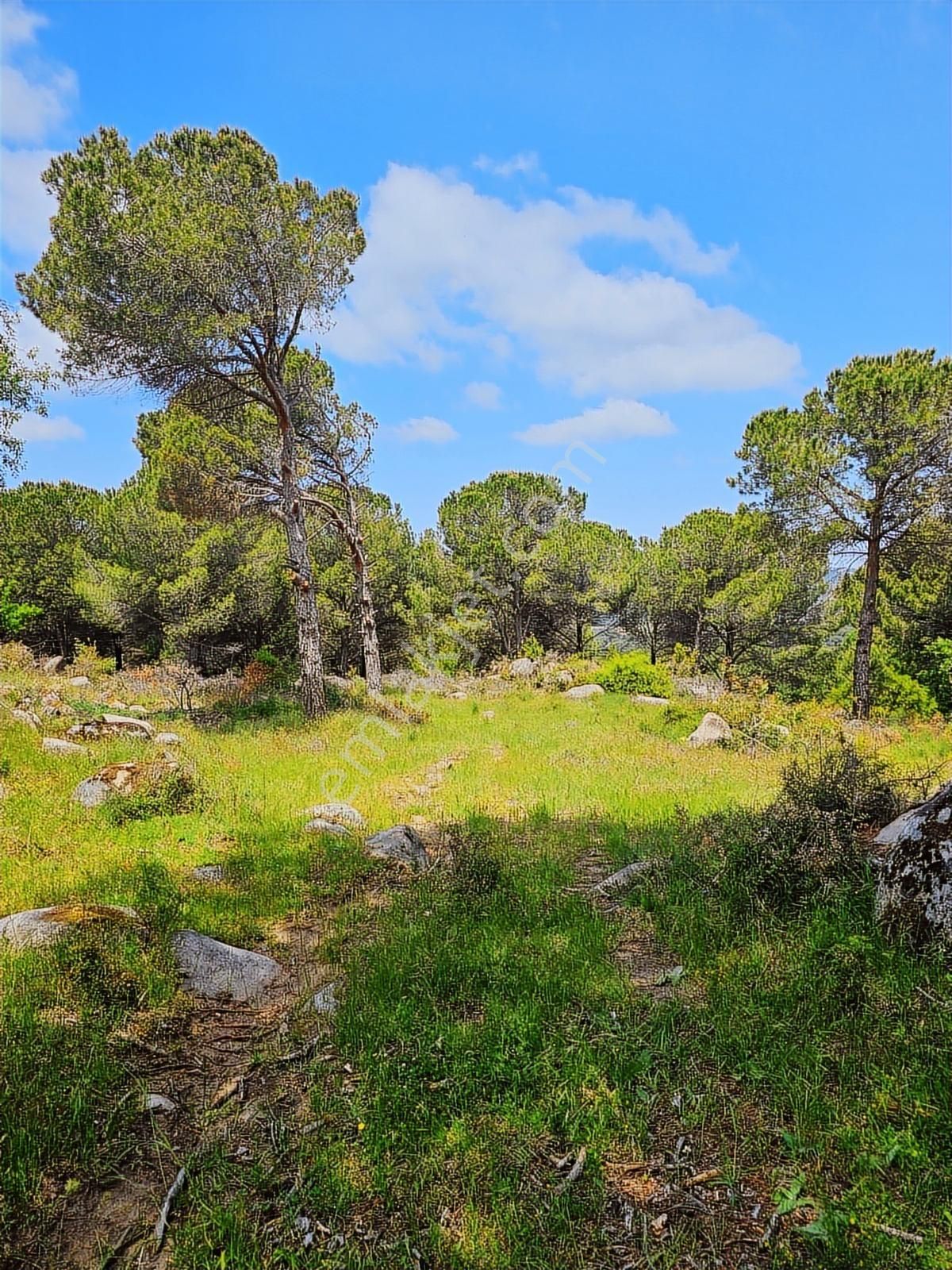 Kozak Yaylası Köy Yakını Satılık (2250 M2 ) - Görsel 12