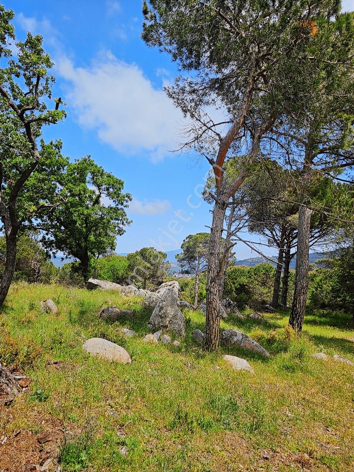 Kozak Yaylası Köy Yakını Satılık (2250 M2 ) - Görsel 10