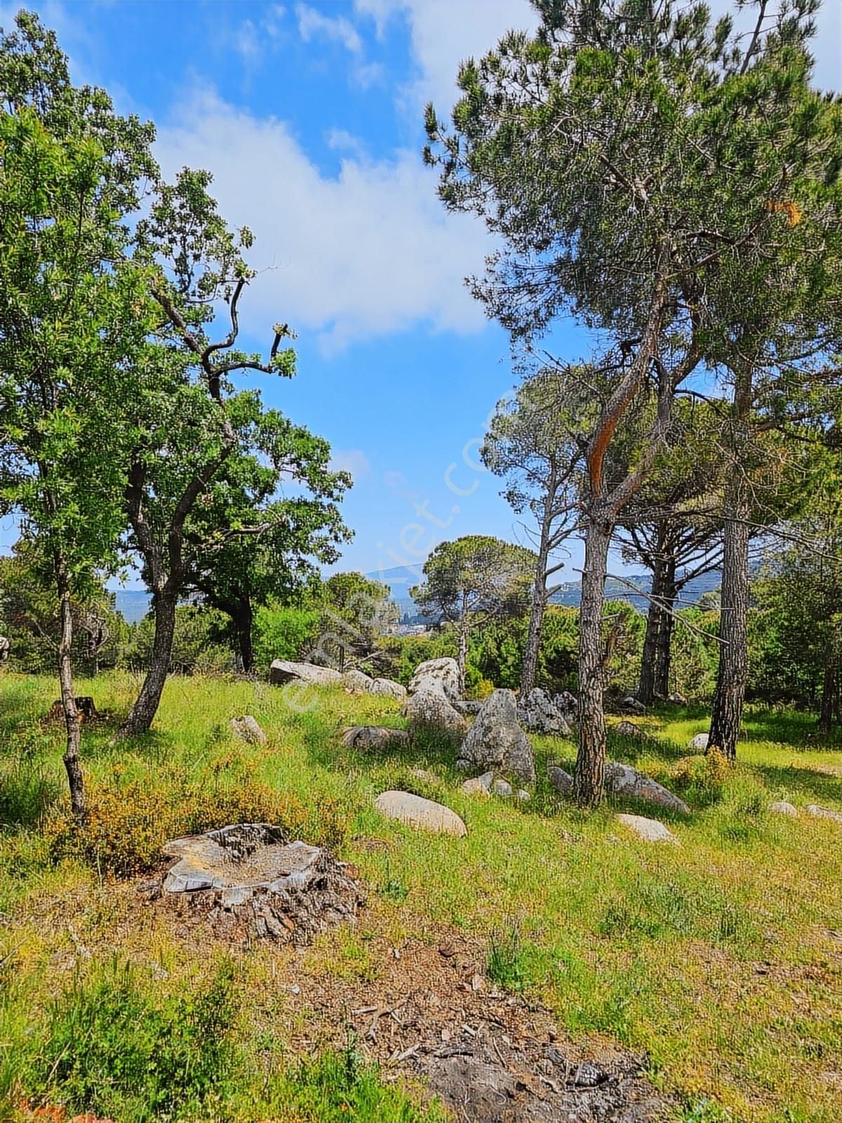 Kozak Yaylası Köy Yakını Satılık (2250 M2 )