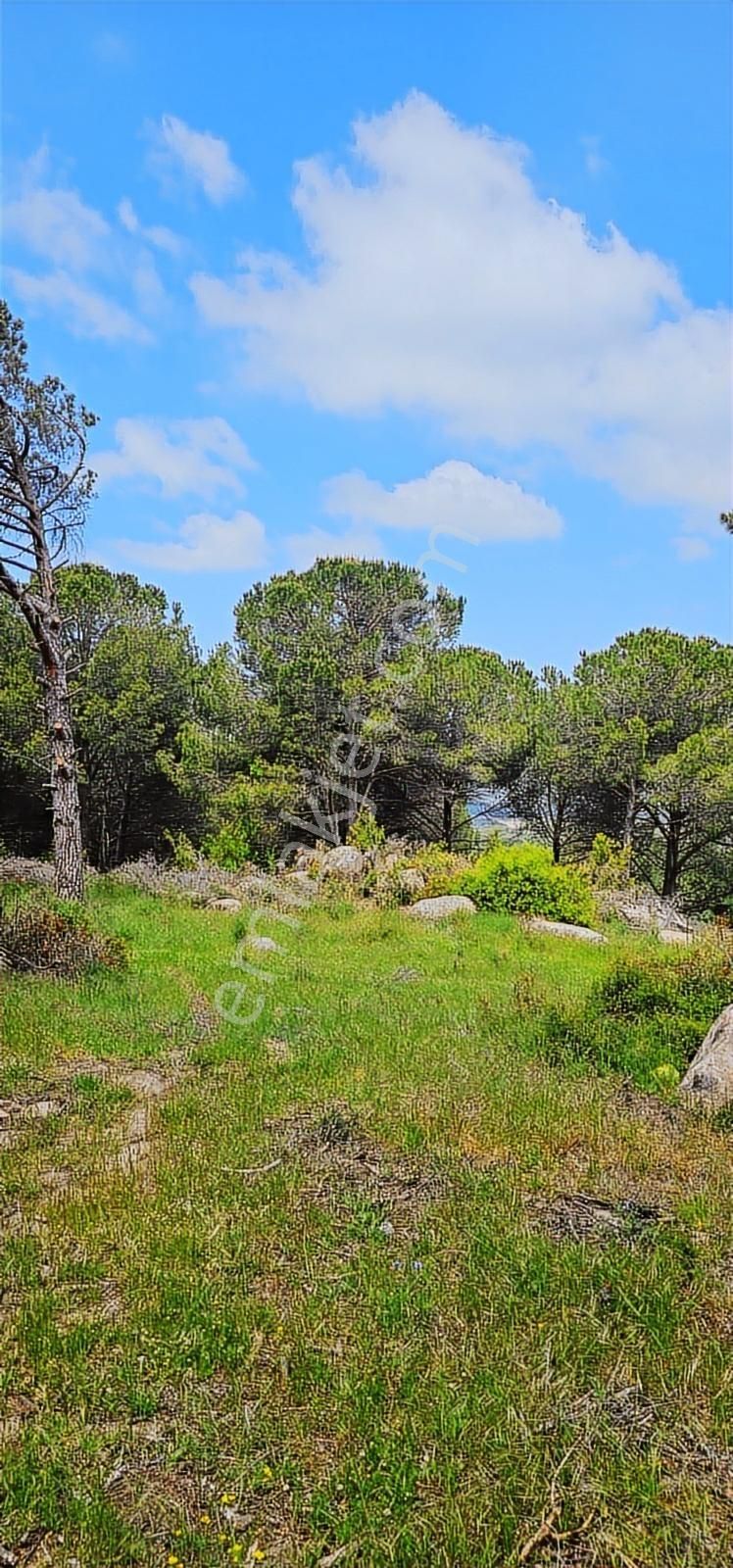 Kozak Yaylası Köy Yakını Satılık (2250 M2 ) - Görsel 2