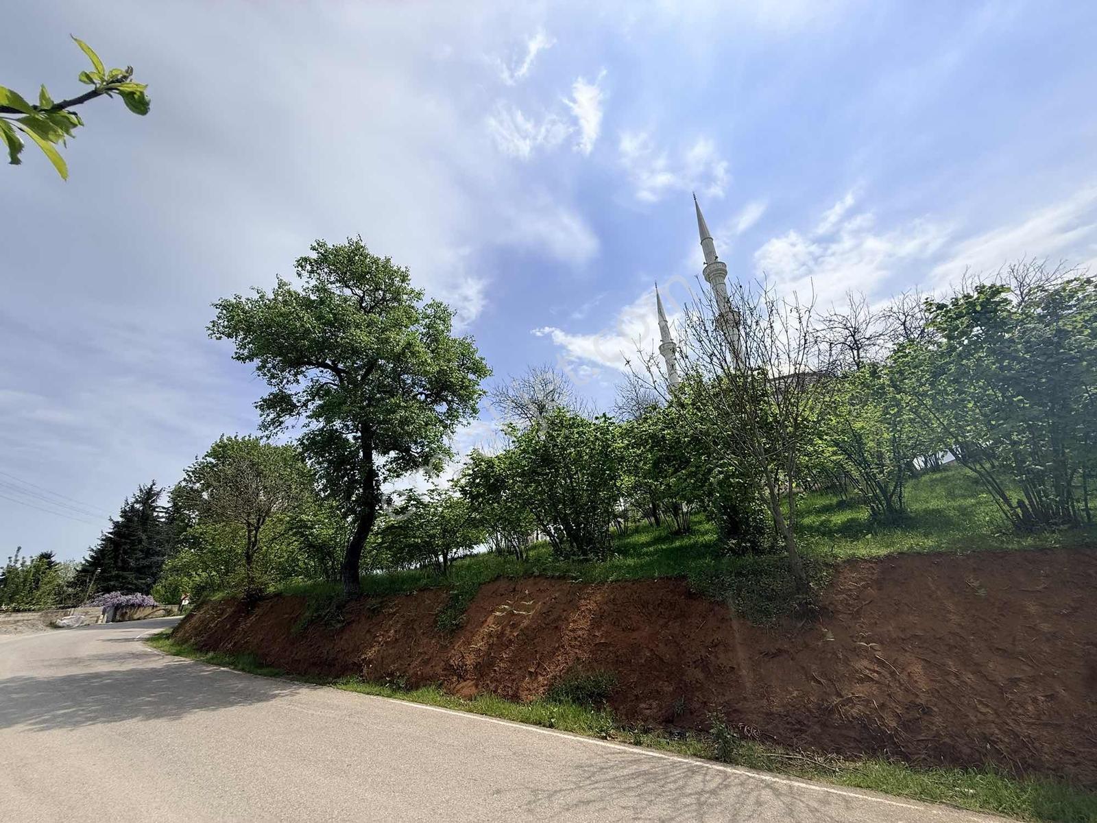 Çilekli De Full Deniz Manzaralı Köşe Parsel Satılık Arazi - Görsel 17