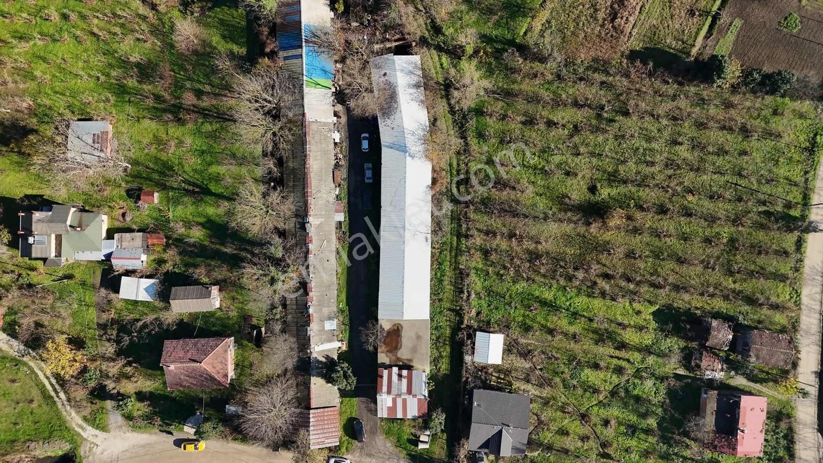 Yön Grouptan Pazarköyde Komple Kiralık Depo Ve 2 Katlı Bina - Görsel 33