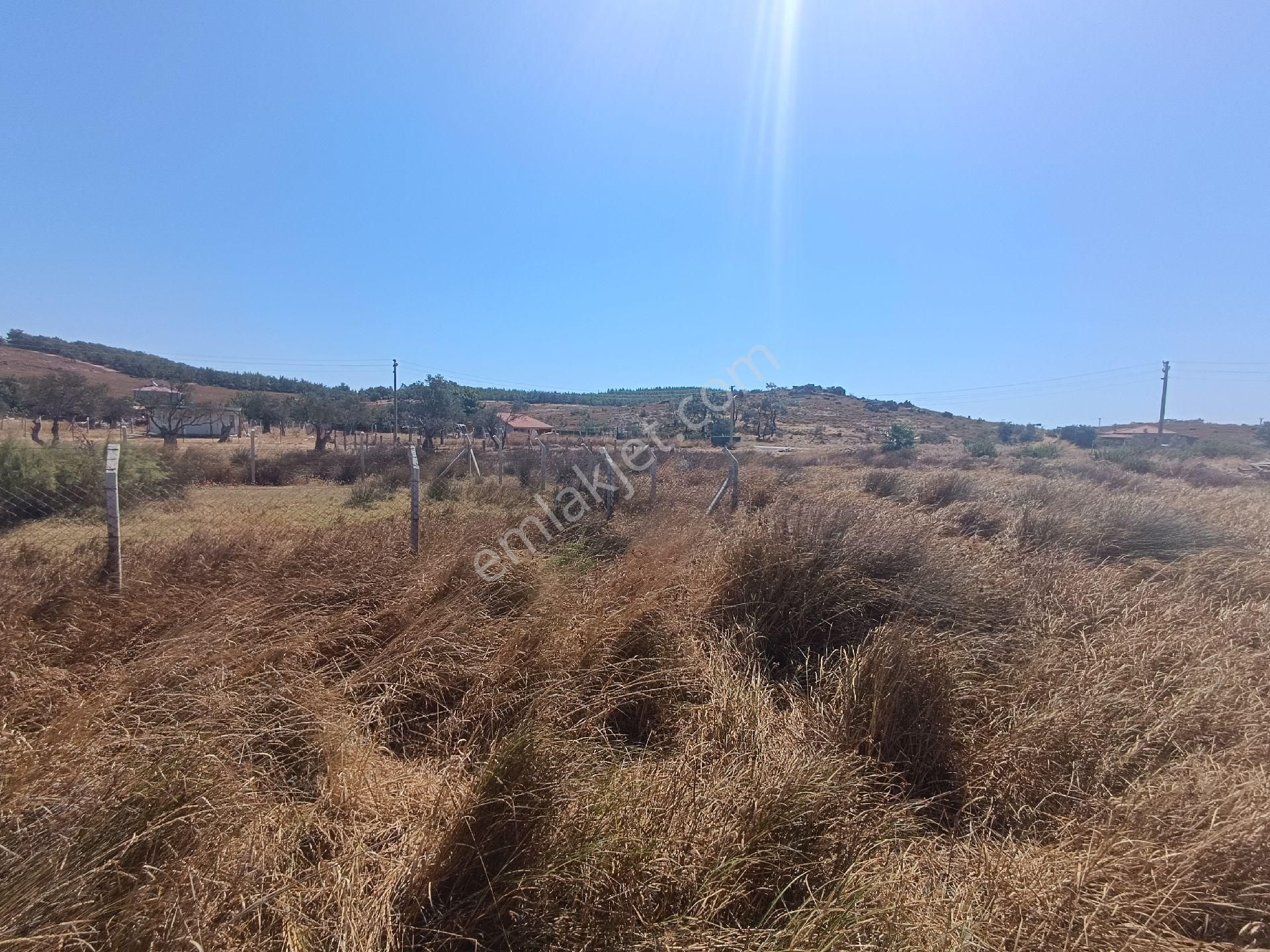 Taş Emlak'tan Badavutta 550m2 Arsa - Görsel 3