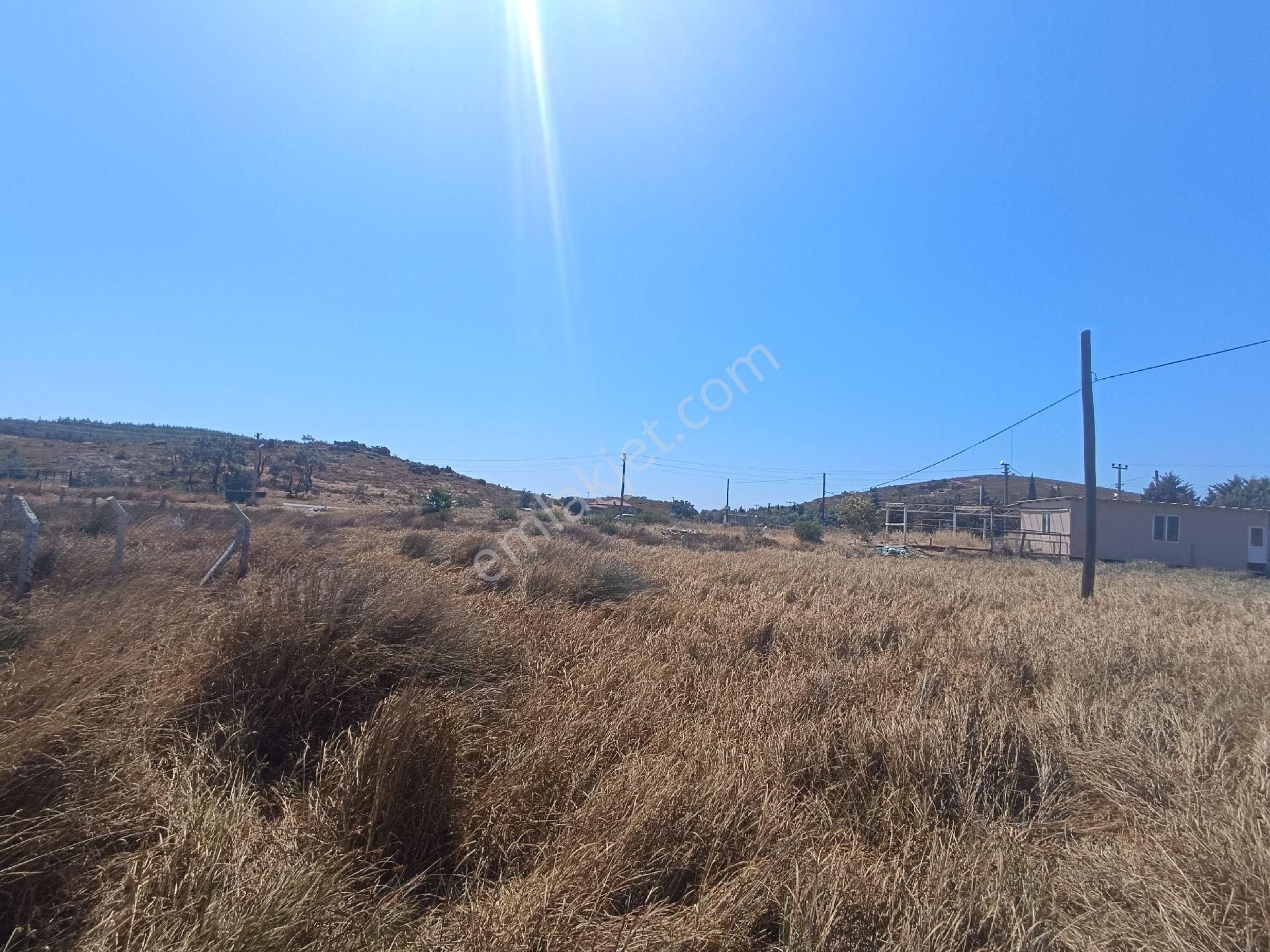 Taş Emlak'tan Badavutta 550m2 Arsa - Görsel 2