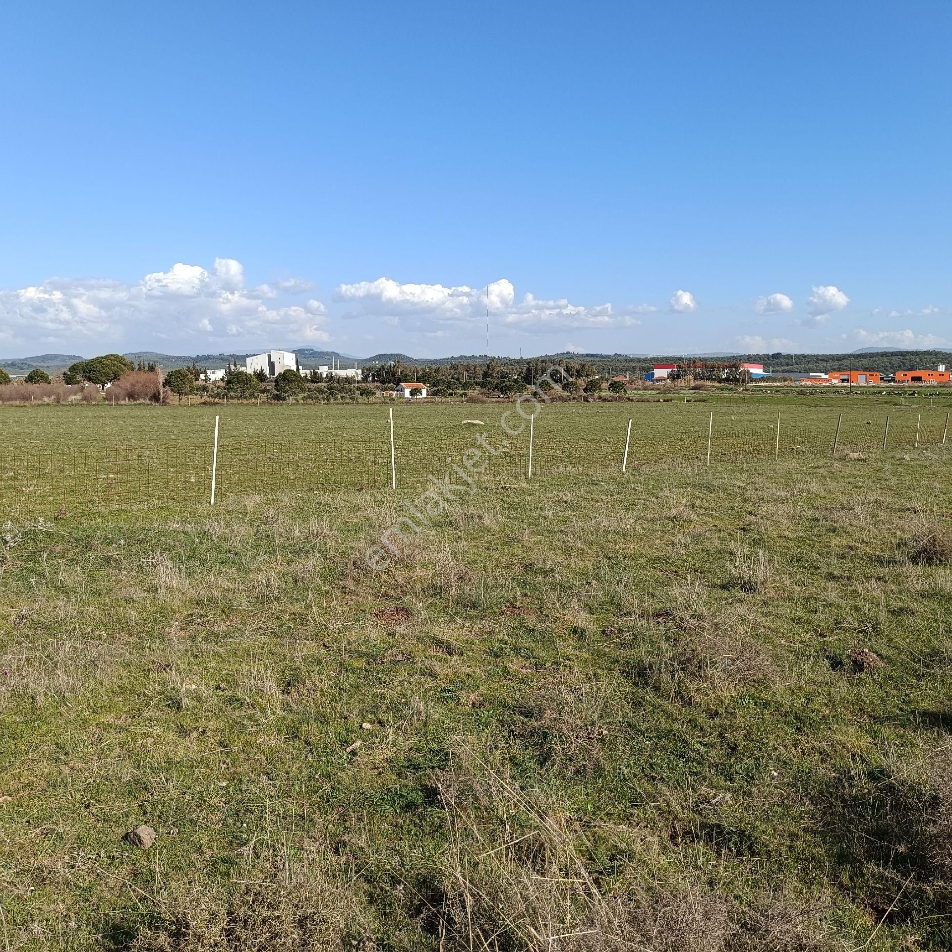 Taş Emlak'tan Küçükköyde 317m2 Müstakil Arsa - Görsel 4