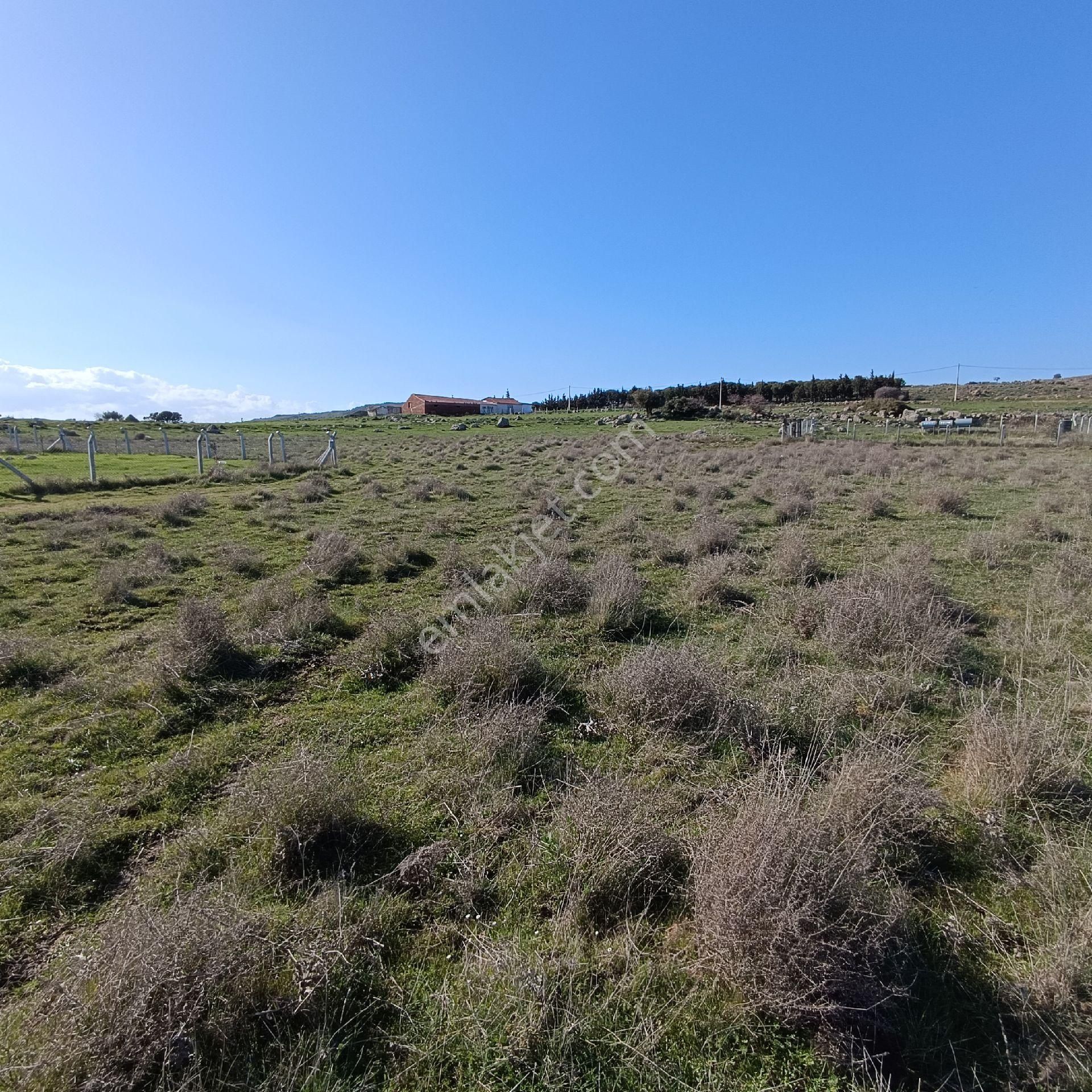 Taş Emlak'tan Küçükköyde 317m2 Müstakil Arsa - Görsel 7