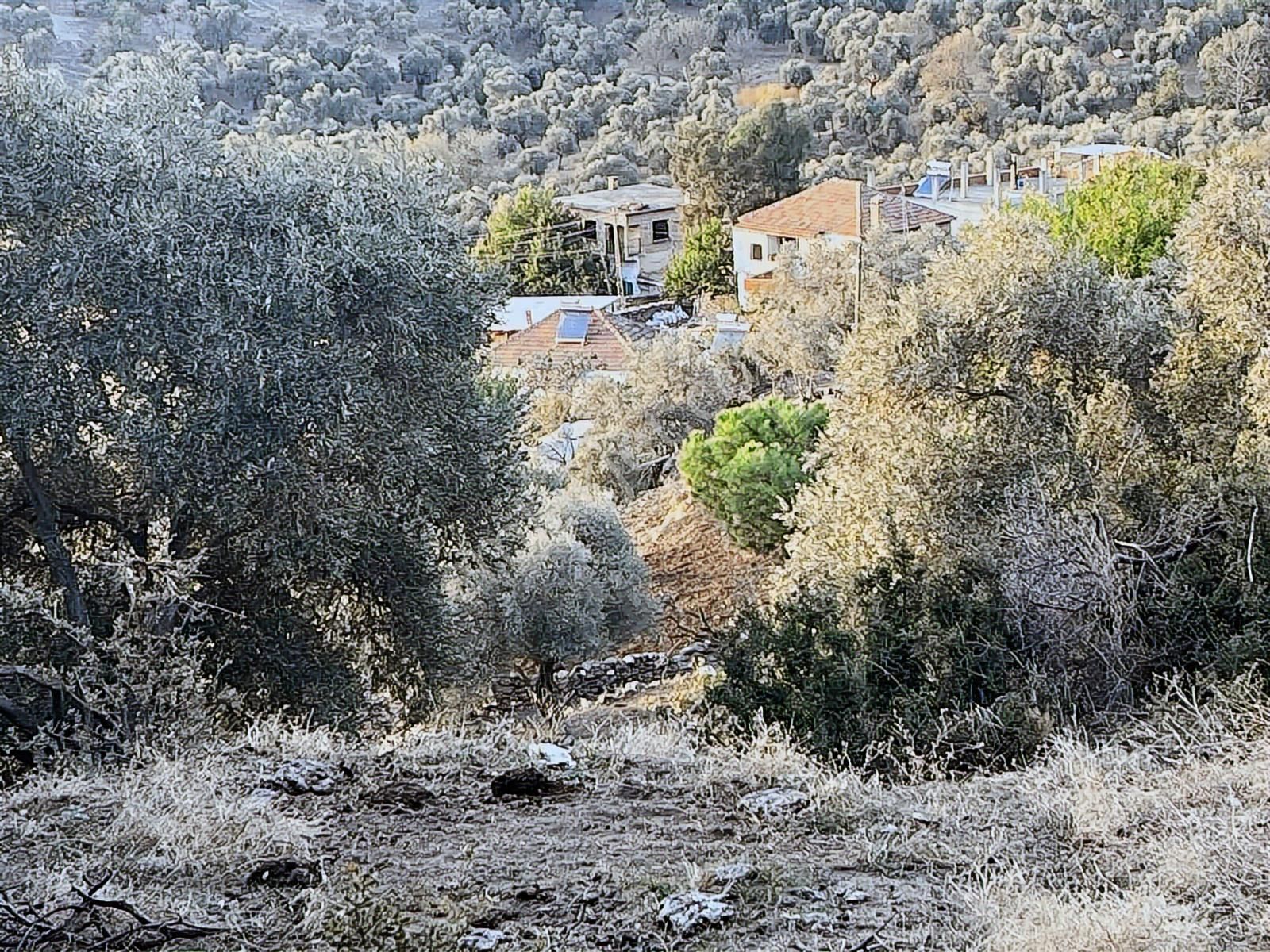 İmarlı .ev Yapılabilir.8248 Metre Zeytinlik. .tek Tapu.takas. - Görsel 25