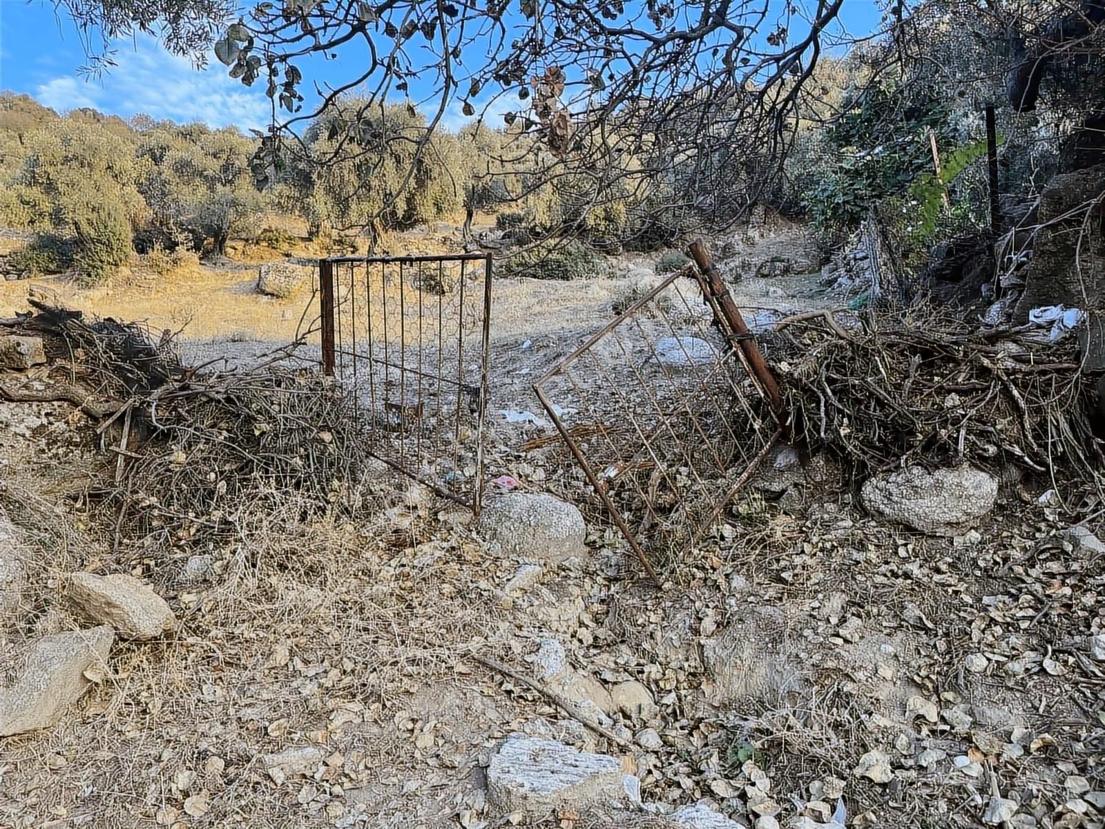 İmarlı .ev Yapılabilir.8248 Metre Zeytinlik. .tek Tapu.takas. - Görsel 24