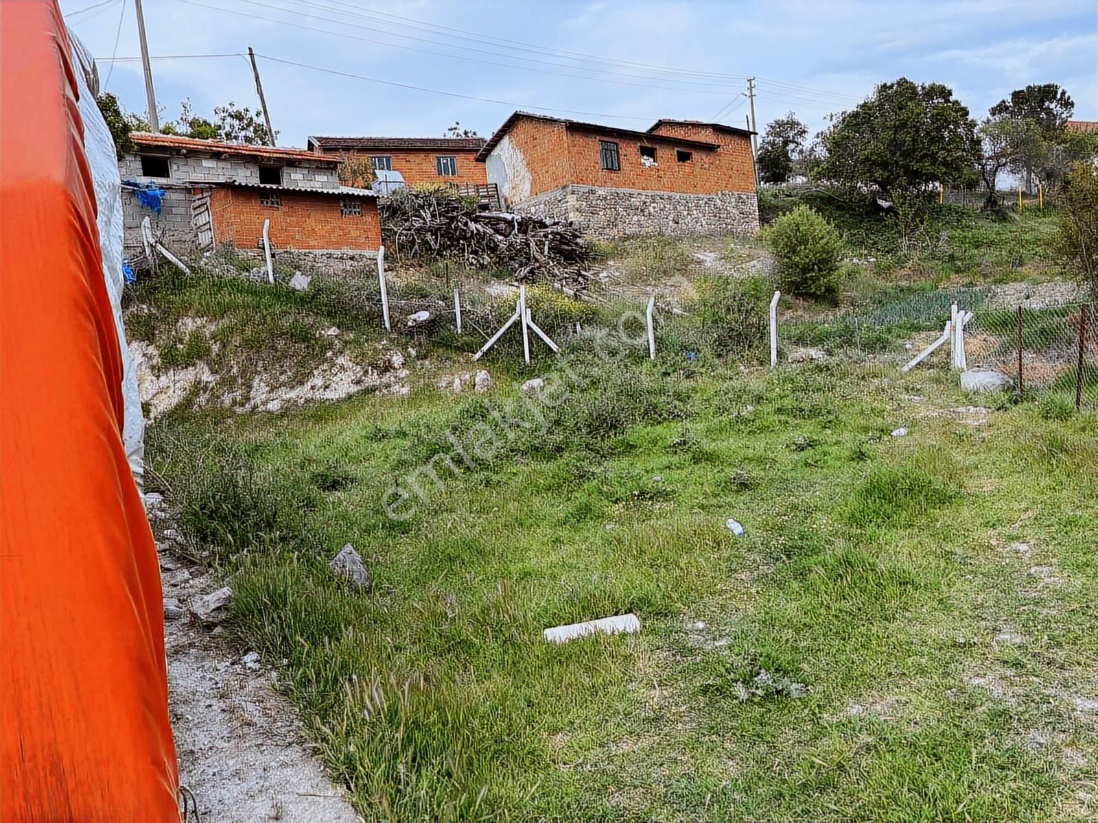 Mantar İşletmesi.1287m. Arsa..2 Tane İzalasyonlu Çadır.klima. - Görsel 4
