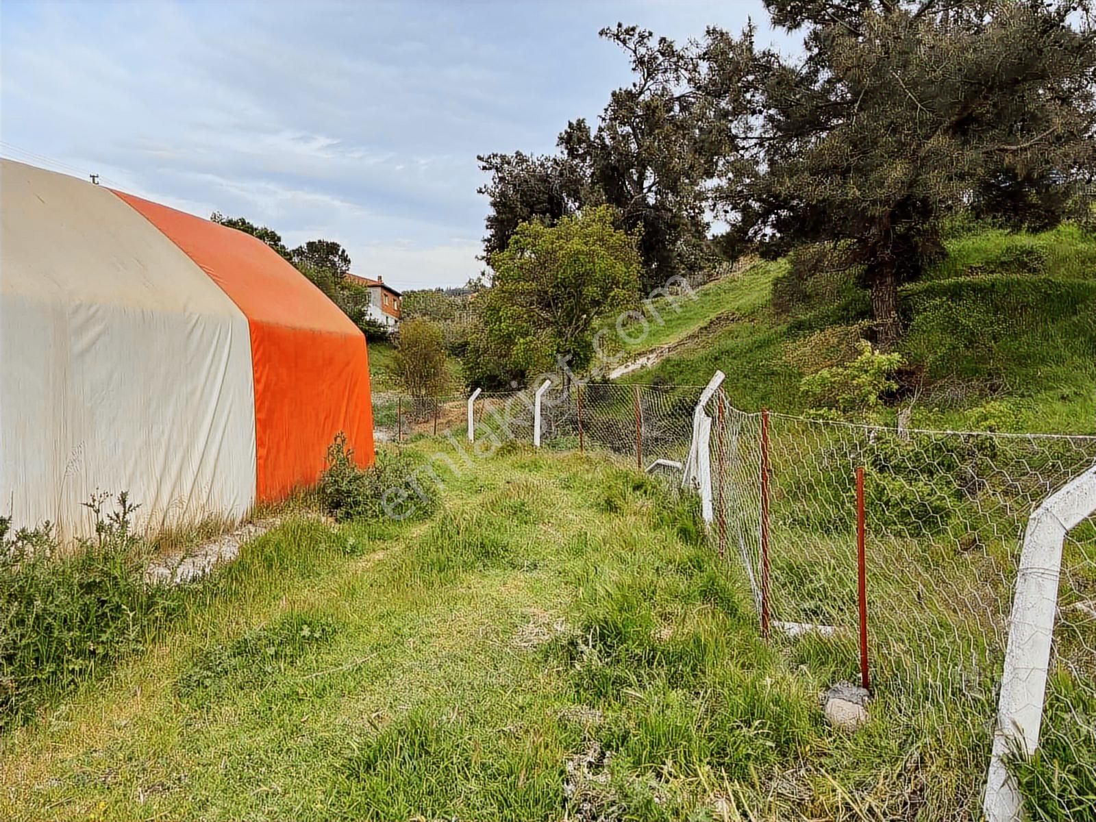 Mantar İşletmesi.1287m. Arsa..2 Tane İzalasyonlu Çadır.klima. - Görsel 8