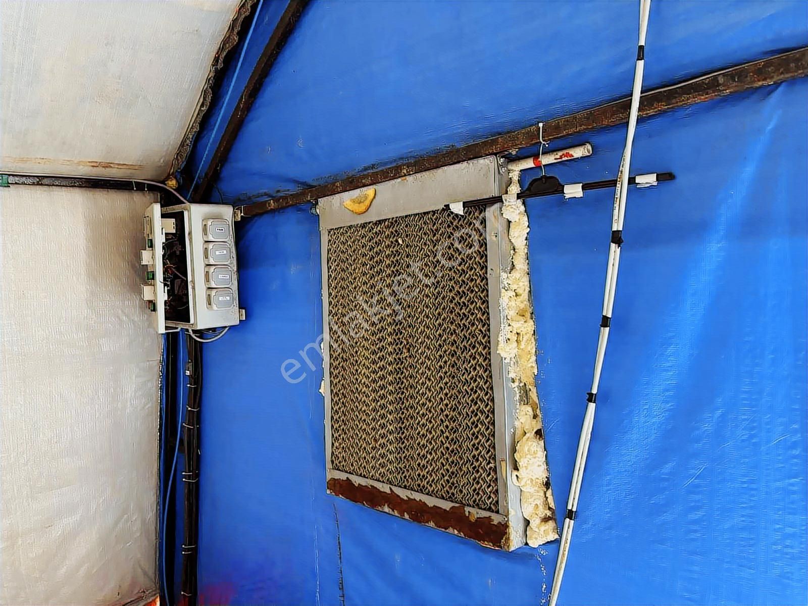 Mantar İşletmesi.1287m. Arsa..2 Tane İzalasyonlu Çadır.klima. - Görsel 28