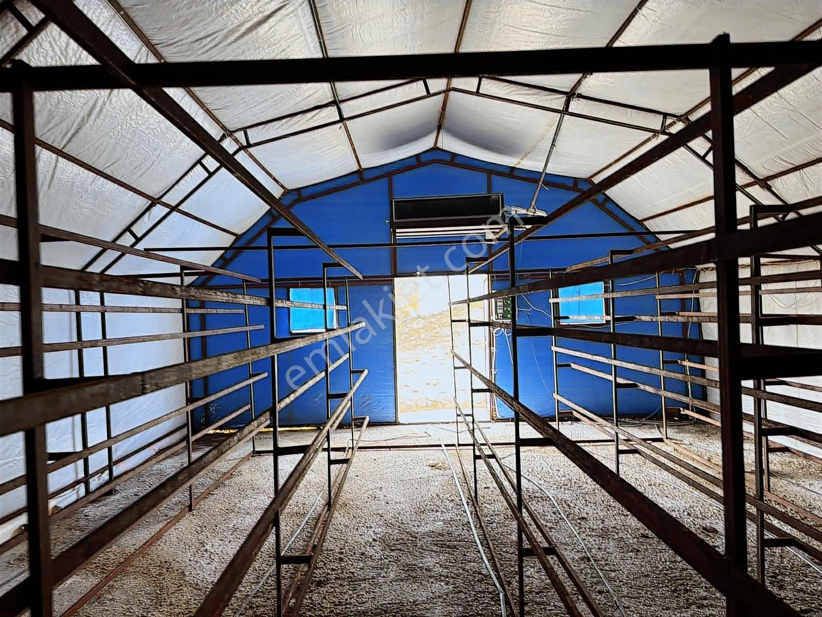 Mantar İşletmesi.1287m. Arsa..2 Tane İzalasyonlu Çadır.klima. - Görsel 17