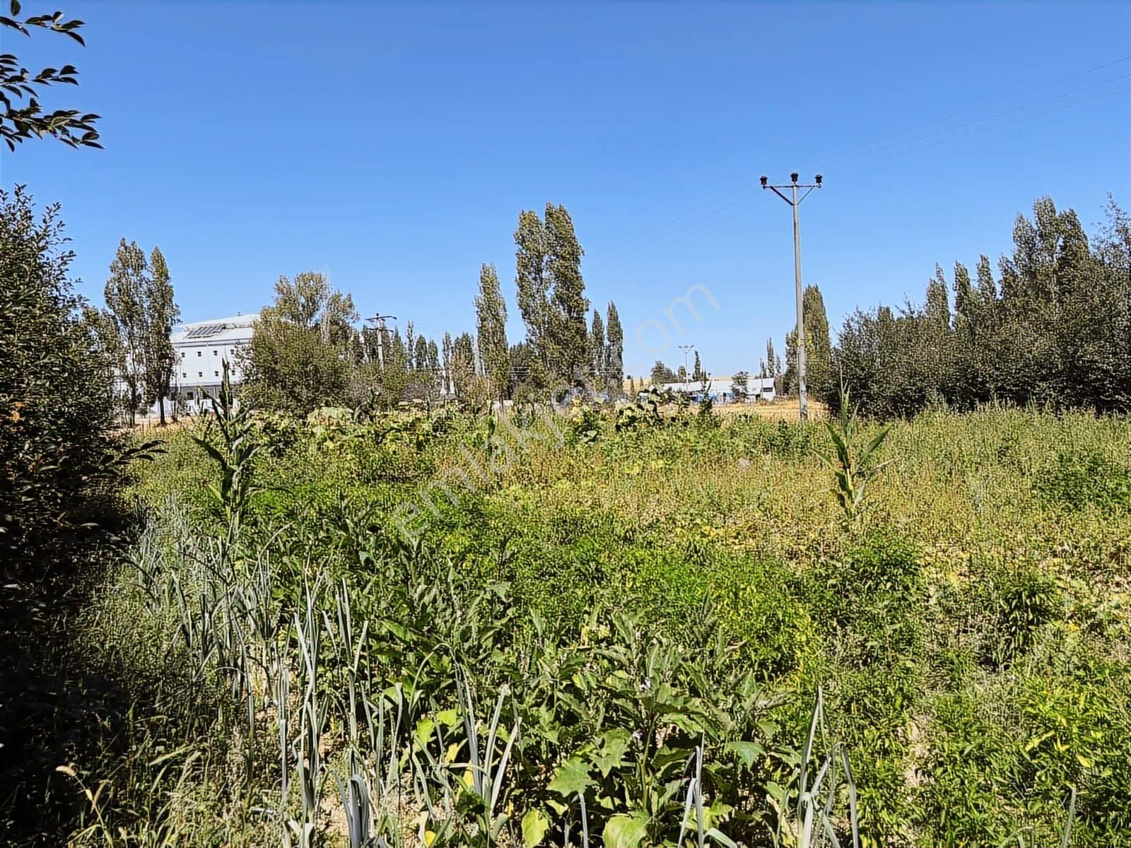 İlçe Merkezinde 2300 Mt Turizim,ticaret İmarlı Arazi.tek Tapu. - Görsel 4