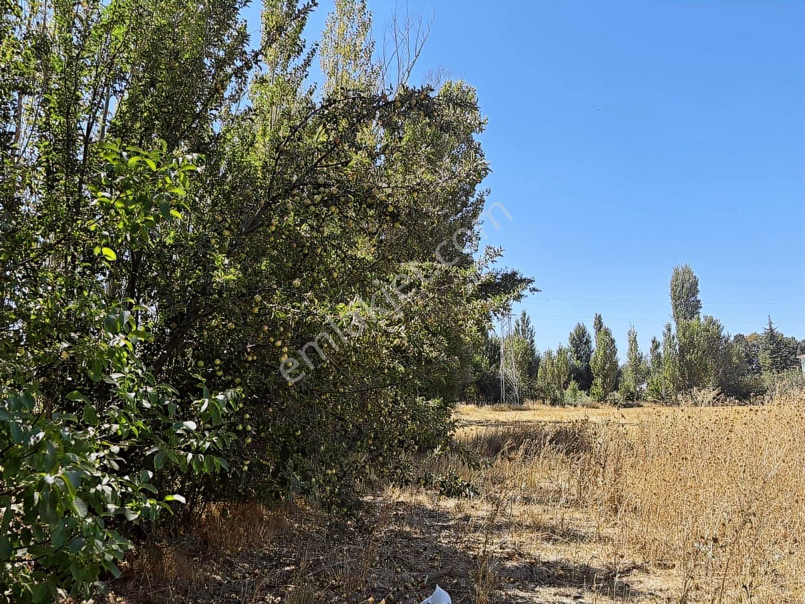 İlçe Merkezinde 2300 Mt Turizim,ticaret İmarlı Arazi.tek Tapu. - Görsel 18