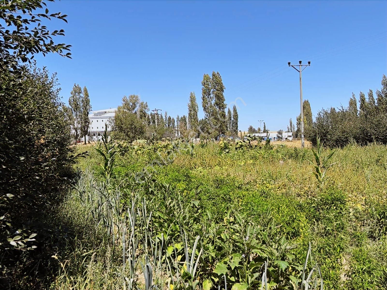 İlçe Merkezinde 2300 Mt Turizim,ticaret İmarlı Arazi.tek Tapu. - Görsel 19