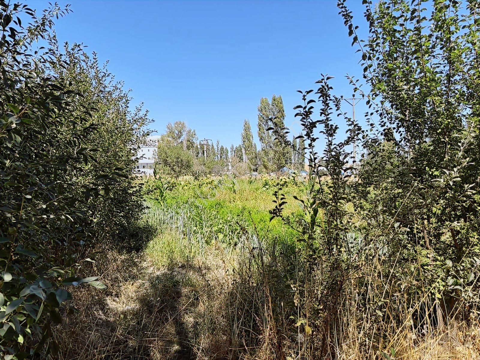 İlçe Merkezinde 2300 Mt Turizim,ticaret İmarlı Arazi.tek Tapu. - Görsel 20