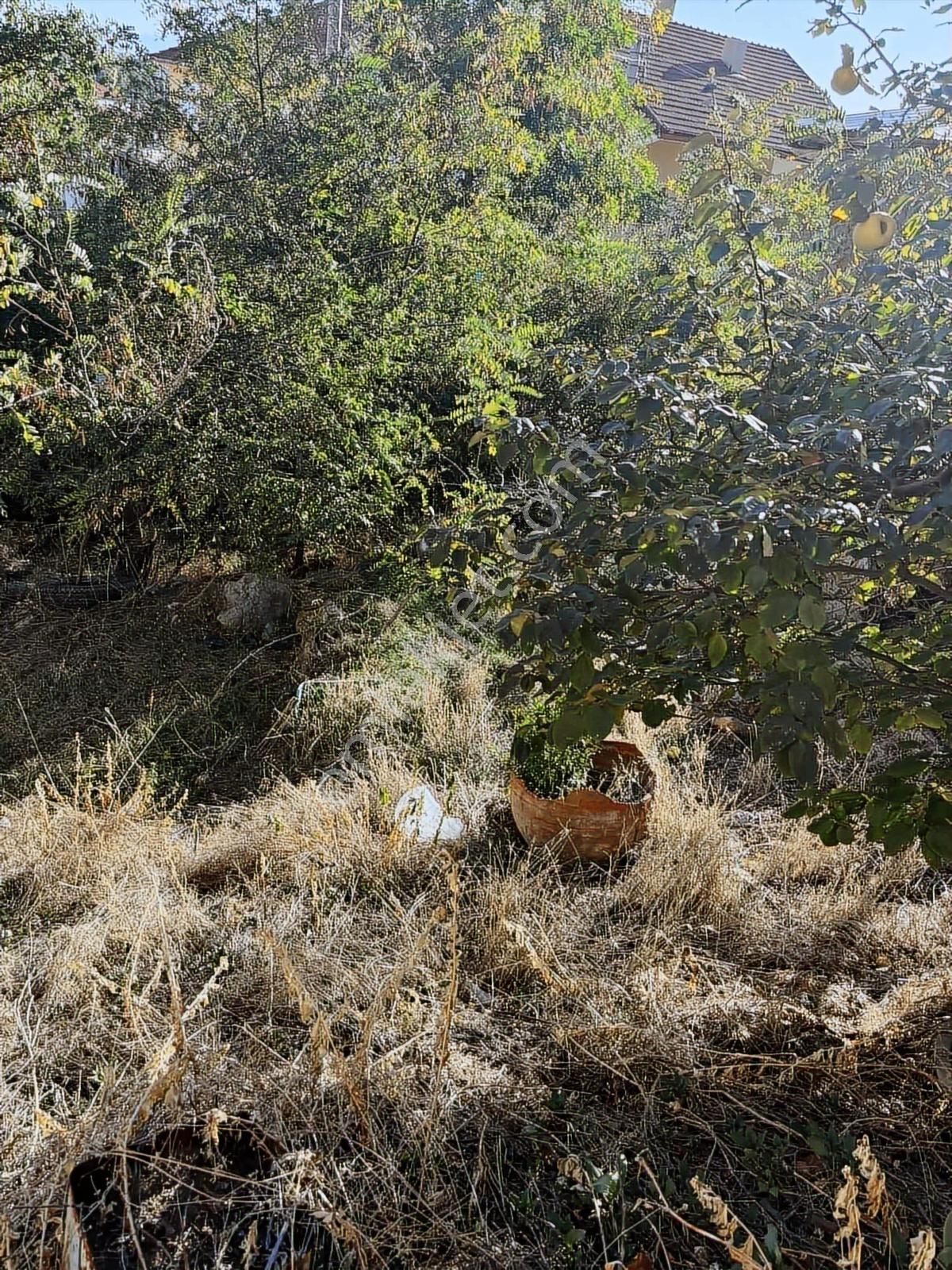 309 Mt.köy Evi.elektrik Ve Su Bağlı.tek Tapu. - Görsel 12