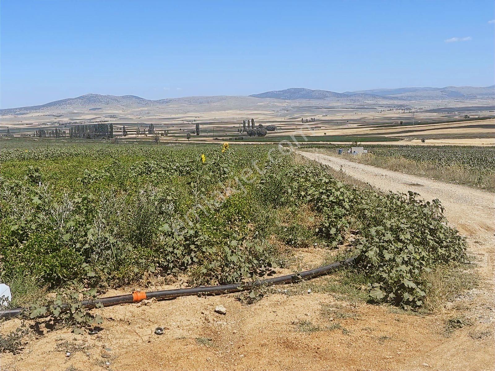 10650 Mt Arazi. Yola Cephe.suyu Var.kısa Süreliğine.