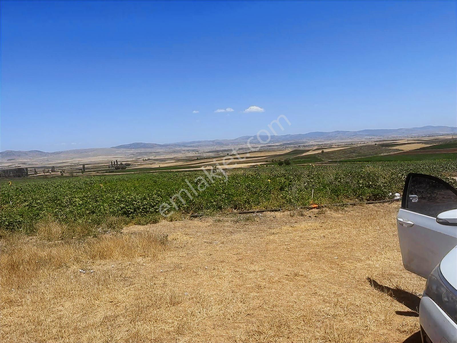 10650 Mt Arazi. Yola Cephe.suyu Var.kısa Süreliğine. - Görsel 15