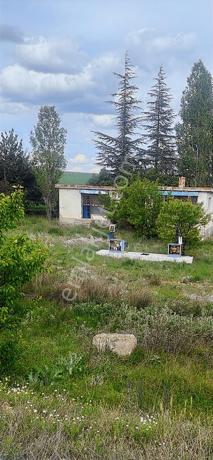 3700 Mt.akaryakıt İstasyonu Olarak Tescilli Arazimiz - Görsel 10