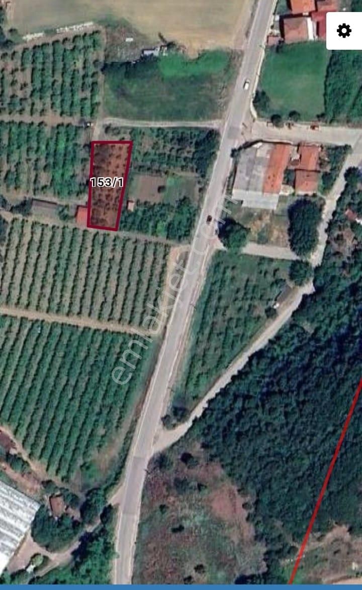 Yalova Acill!!! Çitlikköy Taşköprü Köyaltı Mevkii Satılık Kelepir Villa Arsası 660 Metre Müstakil - Görsel 9