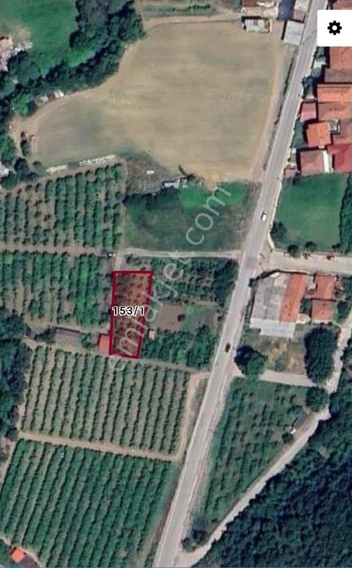Yalova Acill!!! Çitlikköy Taşköprü Köyaltı Mevkii Satılık Kelepir Villa Arsası 660 Metre Müstakil - Görsel 2