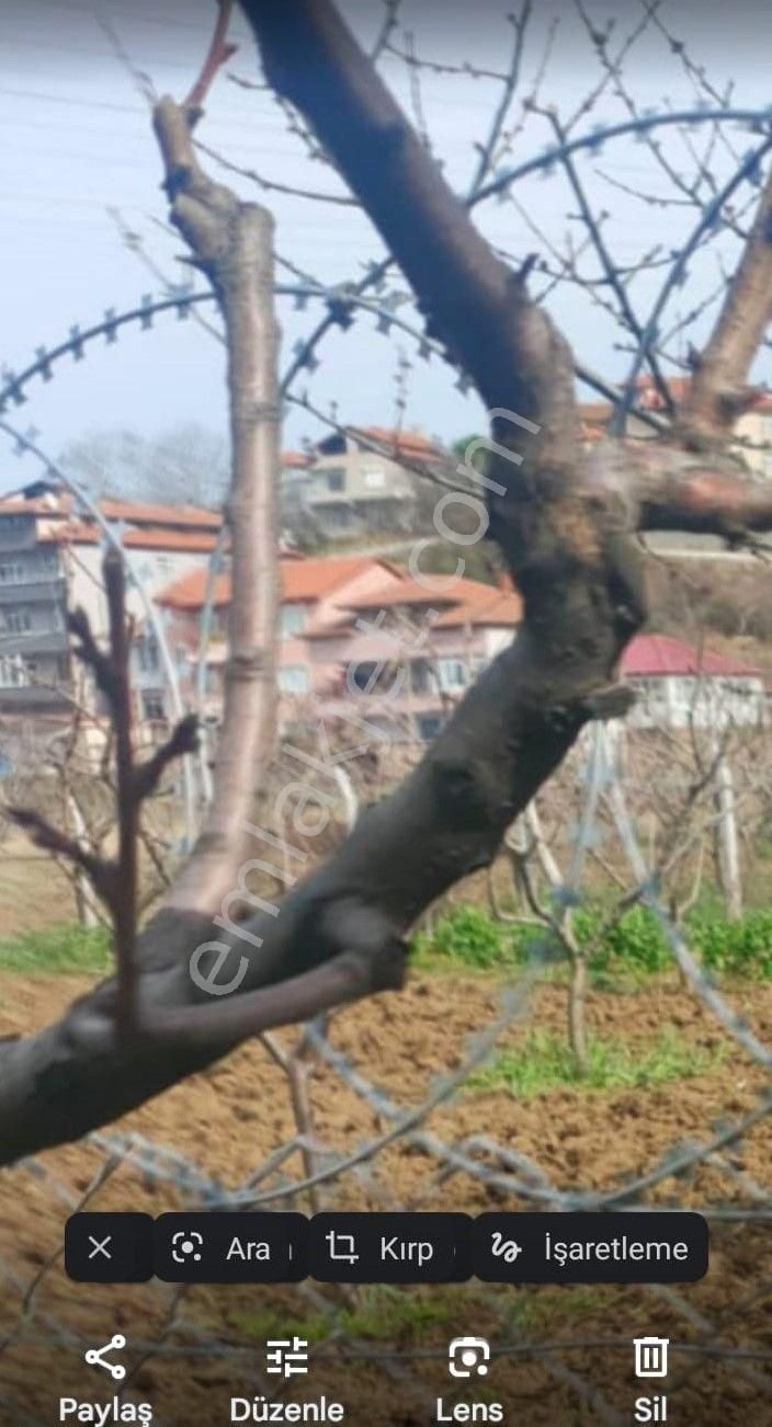 Yalova Acill!!! Çitlikköy Taşköprü Köyaltı Mevkii Satılık Kelepir Villa Arsası 660 Metre Müstakil - Görsel 7