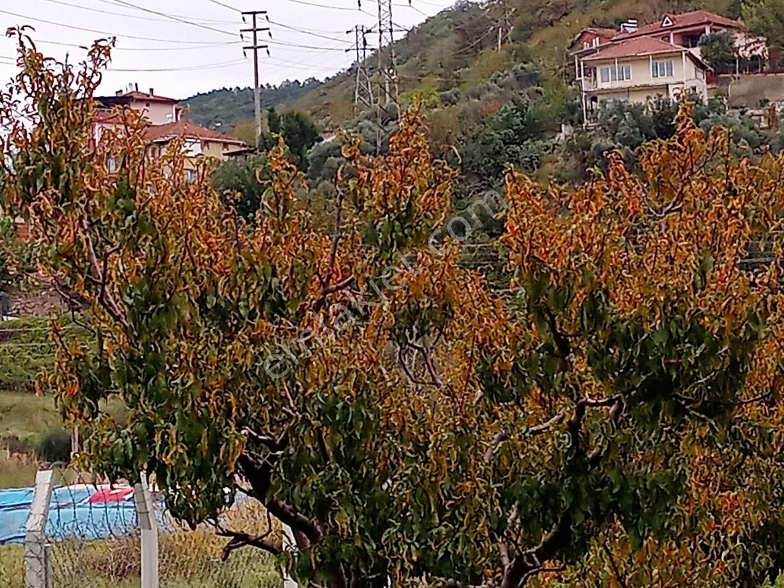 Yalova Acill!!! Çitlikköy Taşköprü Köyaltı Mevkii Satılık Kelepir Villa Arsası 660 Metre Müstakil - Görsel 14