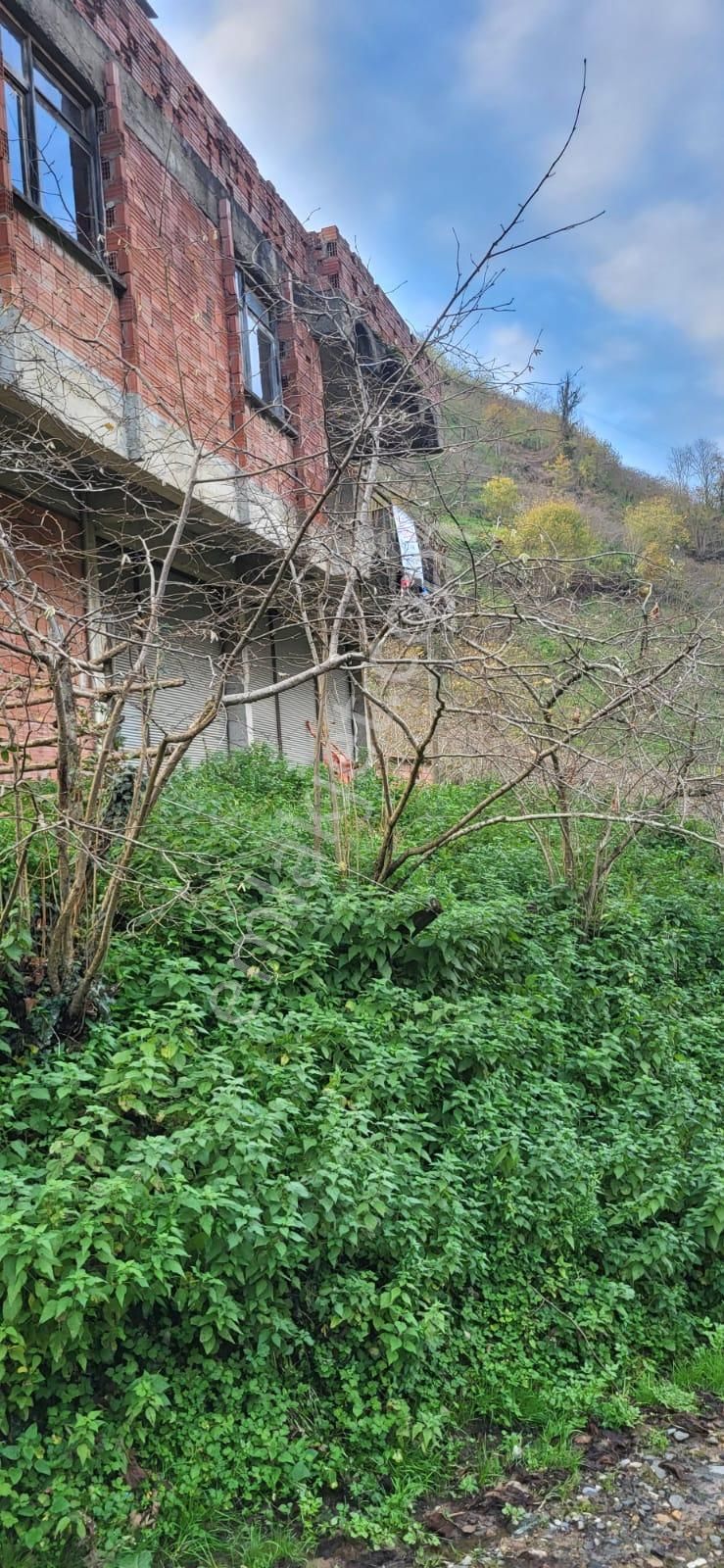 İnanç Emlaktan Giresun Sayca Köyünde Satılık 3,7 Dönüm Fındık Bahçesi - Görsel 8