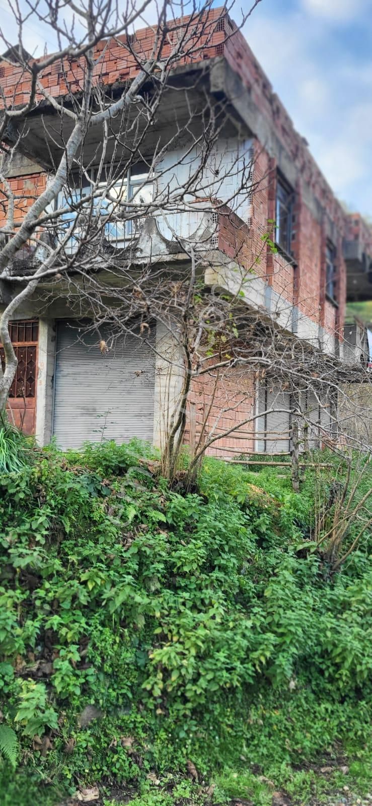 İnanç Emlaktan Giresun Sayca Köyünde Satılık 3,7 Dönüm Fındık Bahçesi - Görsel 2