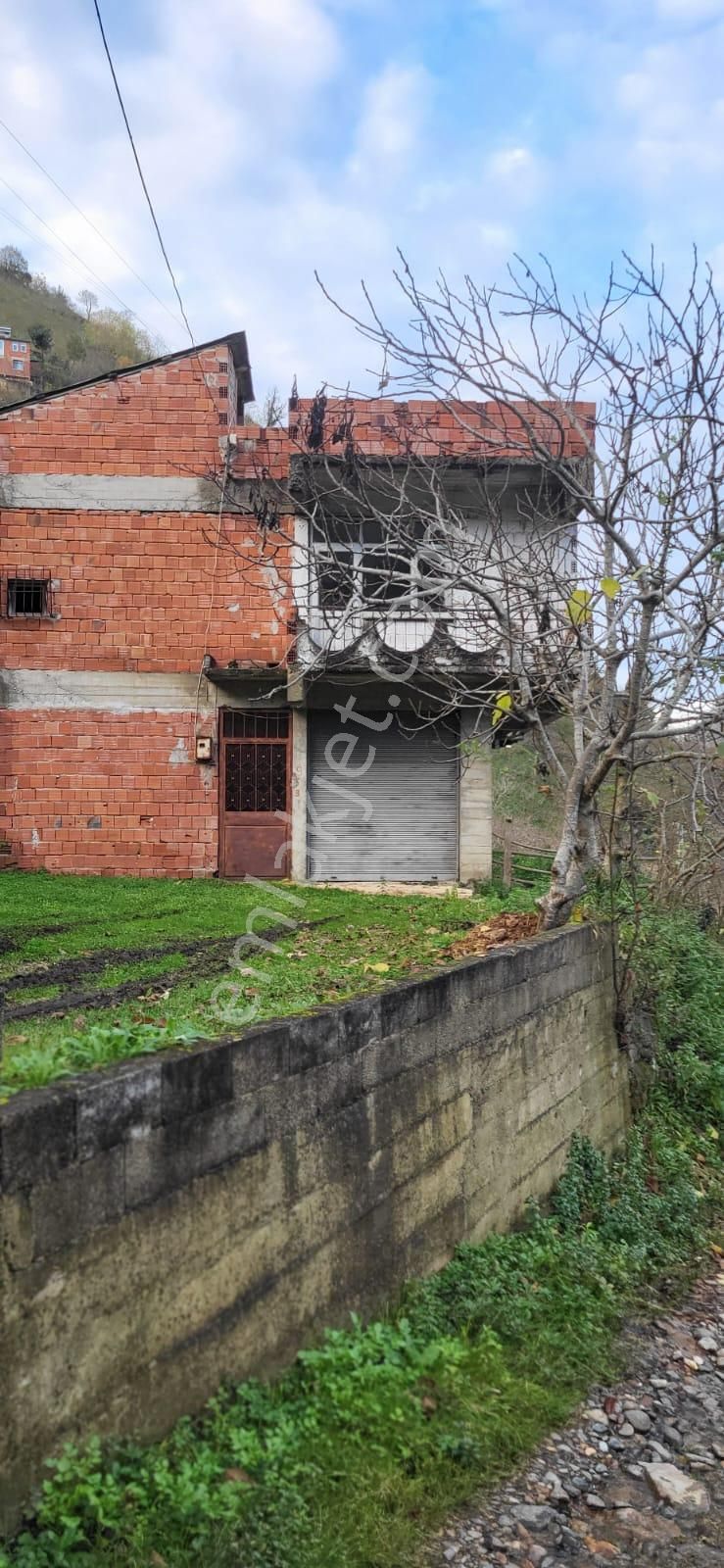 İnanç Emlaktan Giresun Sayca Köyünde Satılık 3,7 Dönüm Fındık Bahçesi - Görsel 3