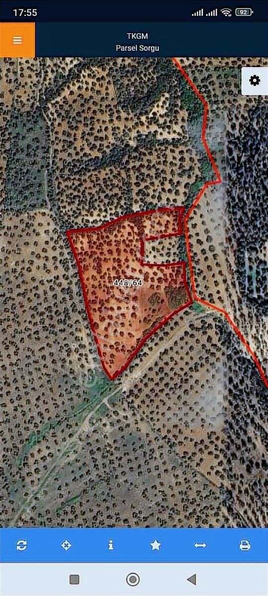 Taş Emlak'tan 20 Dönüm Yol Cepheli Fırsat Zeytinlik - Görsel 2