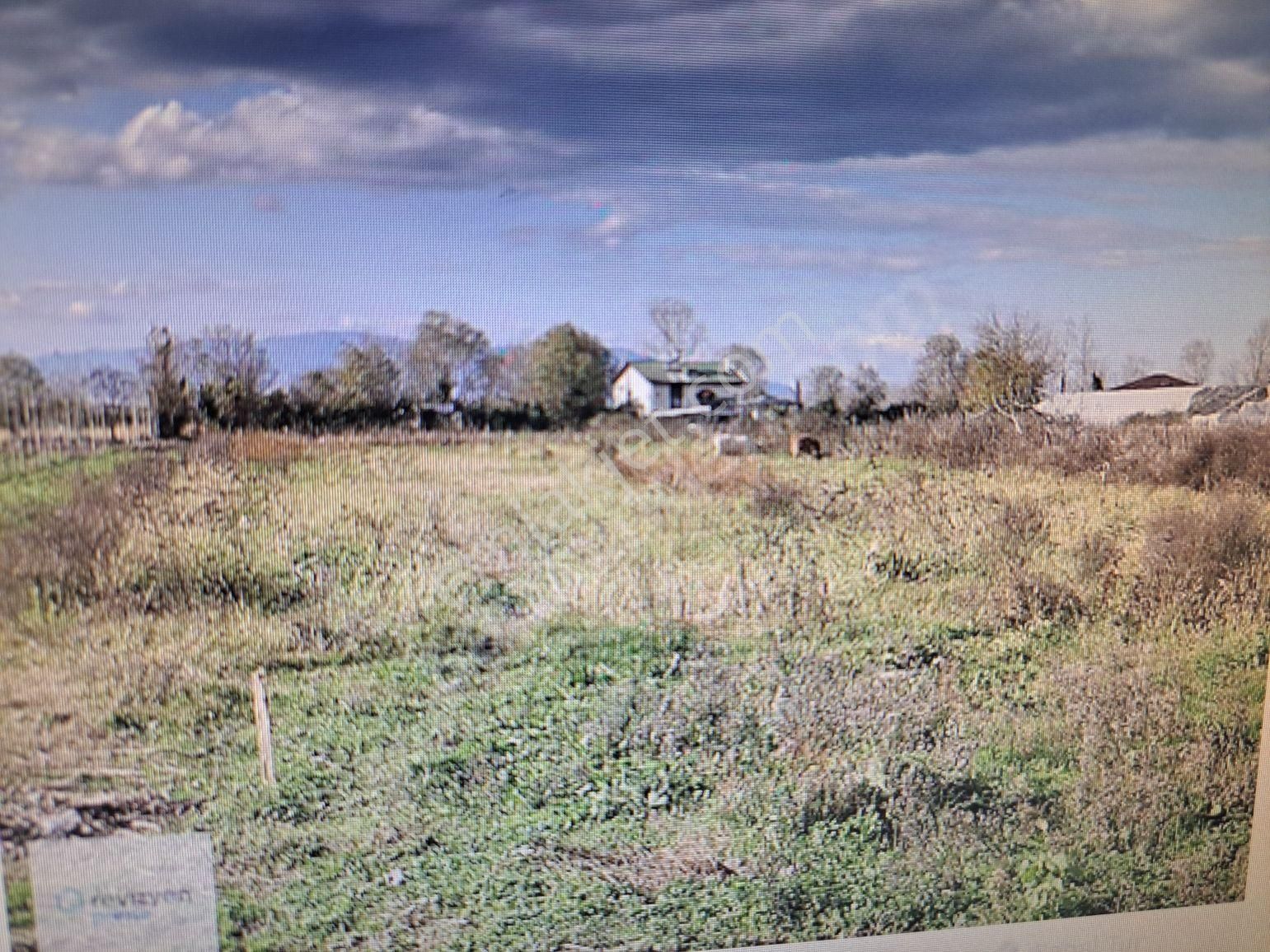 Satılık Tarla
