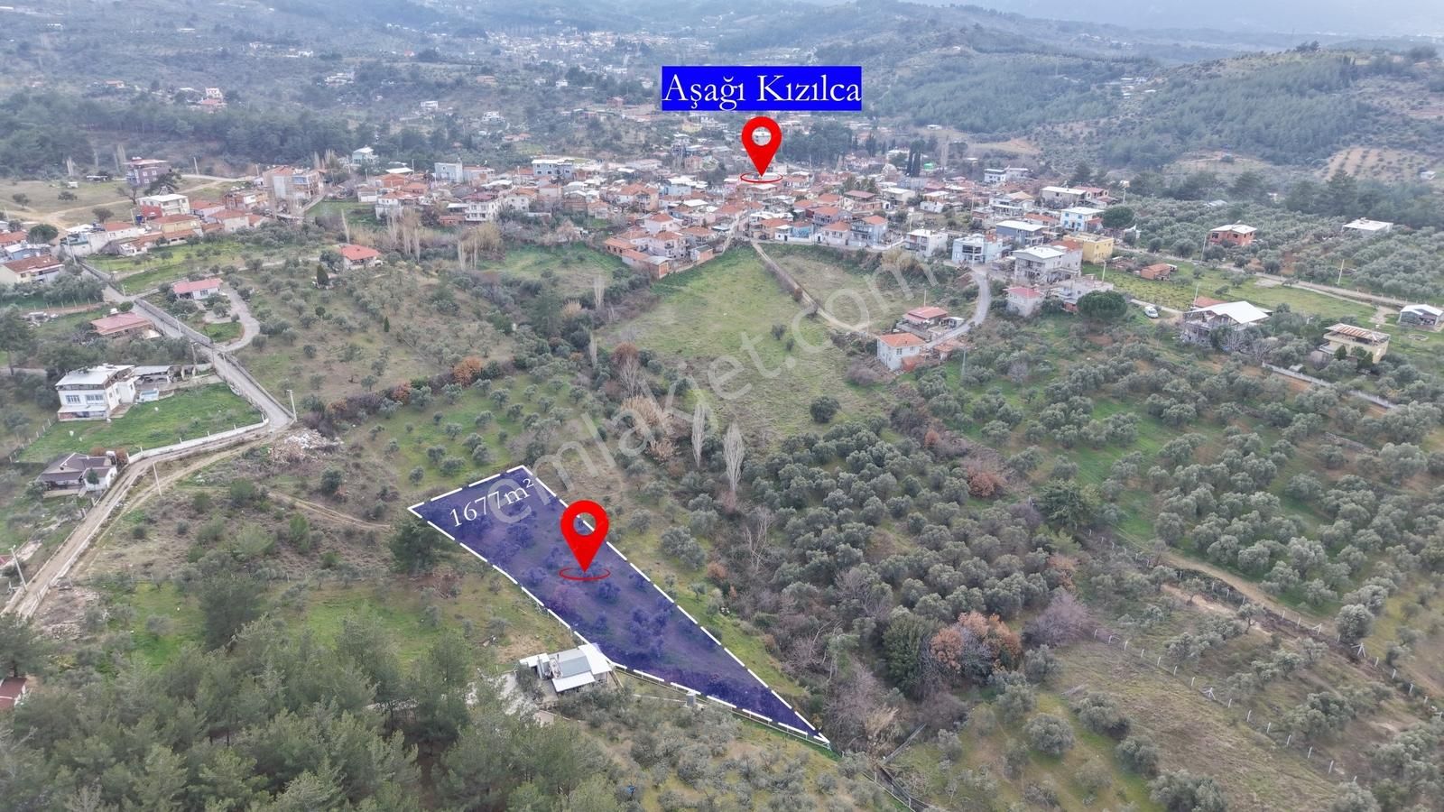 Aşağı Kızılca'da Satılık Müstakil Tapulu 1677 M² Zeytinlik - Görsel 3