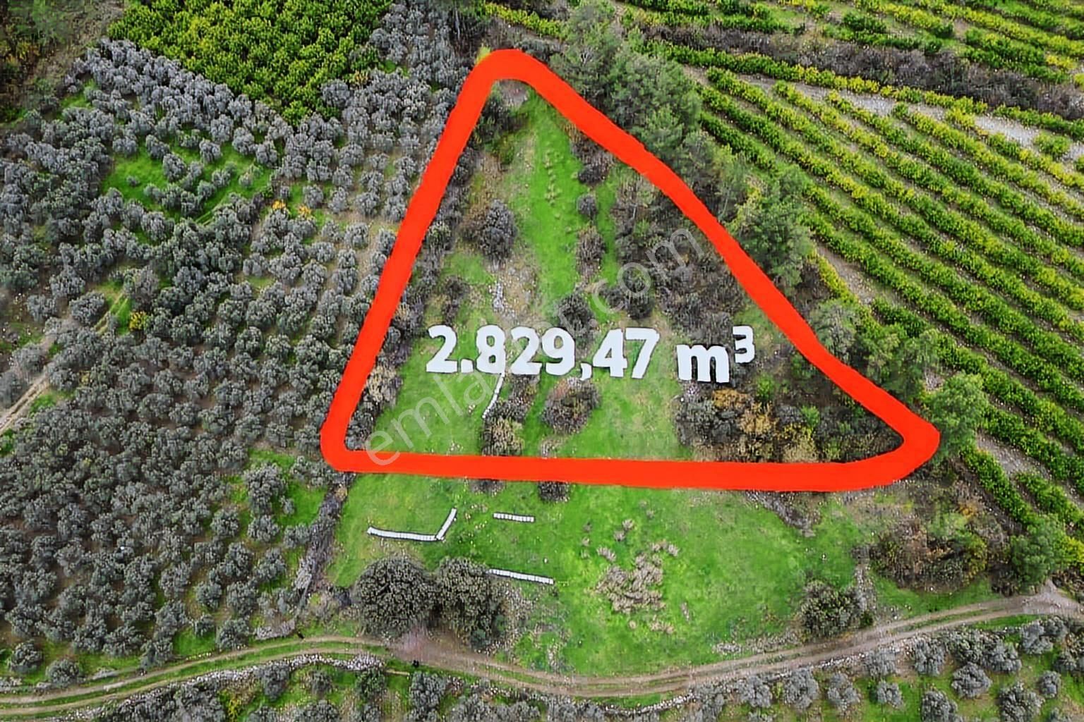 Dalaman Akkaya Gizli Vadi Akkaya'da Yatırımlık Fırsat Arsa - Görsel 13