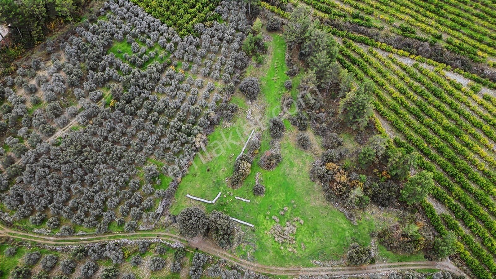 Dalaman Akkaya Gizli Vadi Akkaya'da Yatırımlık Fırsat Arsa - Görsel 4